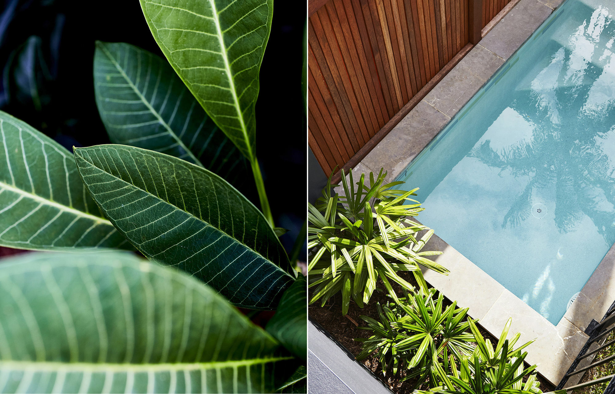 Hotel 28 Degrees Byron Bay - Adults Only Zewnętrze zdjęcie
